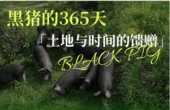 这种“认养-定制配送”的闭环