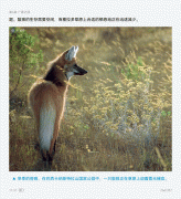 机开通会员首3个月0元